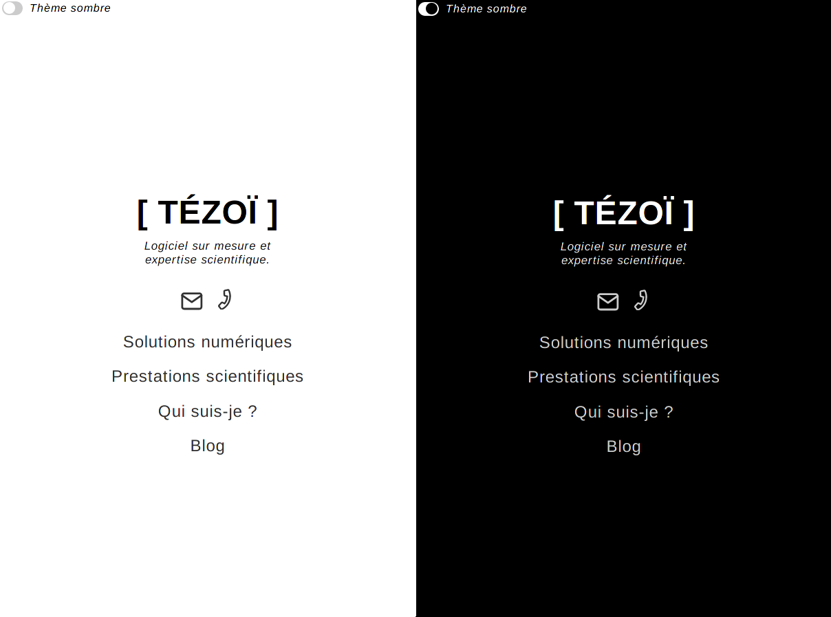 Le site avec un thème sombre ou clair